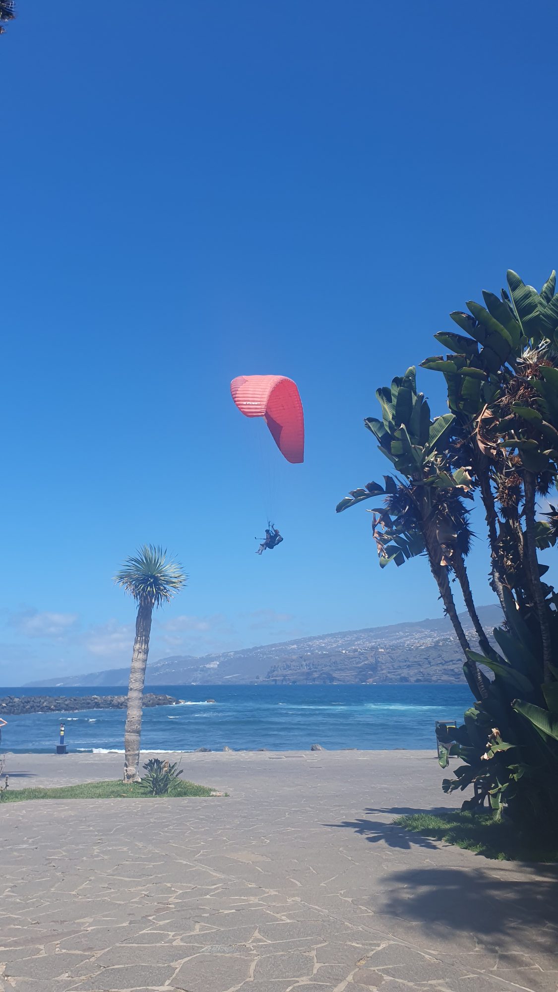 Gleitschirmflug über der Küste von Costa Adeje