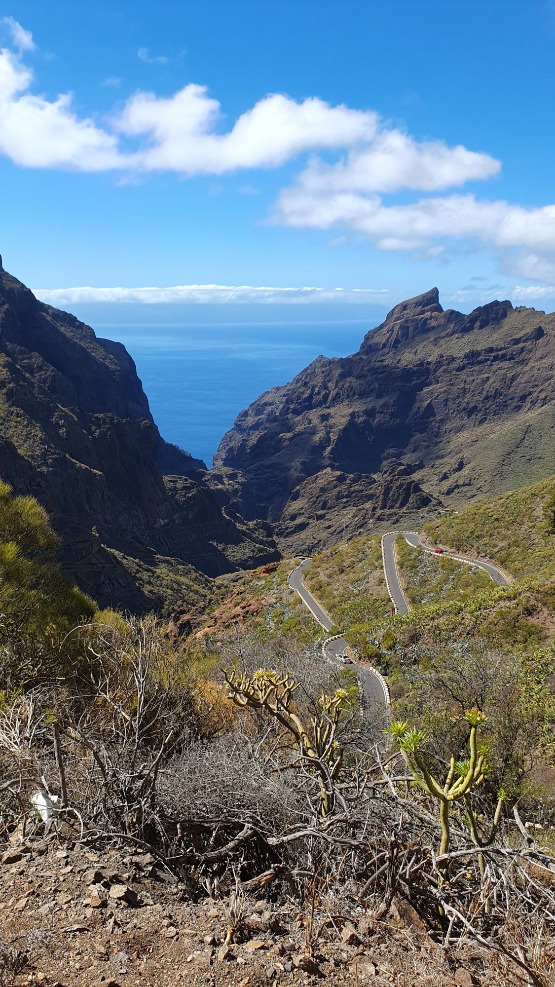 Blick über die grüne Schlucht von Masca im Teno-Gebirge bis zum Meer