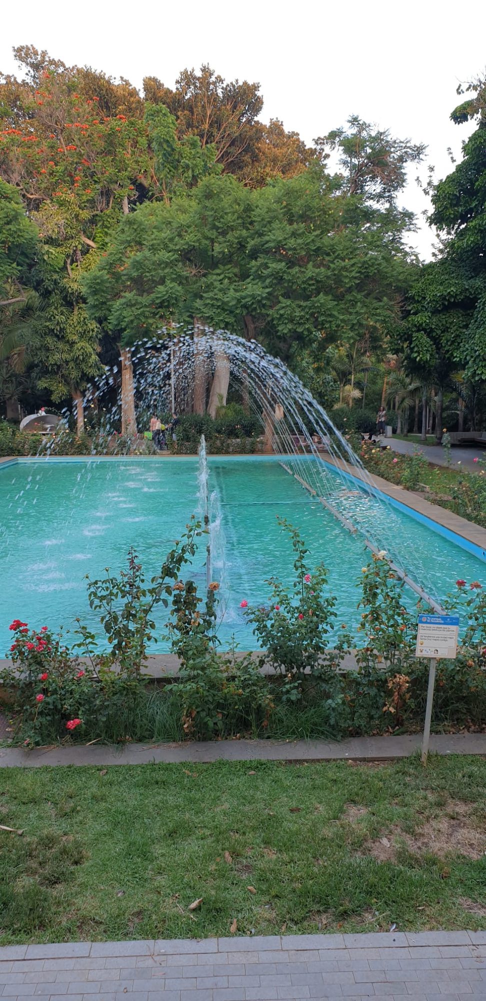 Grünanlage mit Wasserbecken im Parque García Sanabria in Santa Cruz