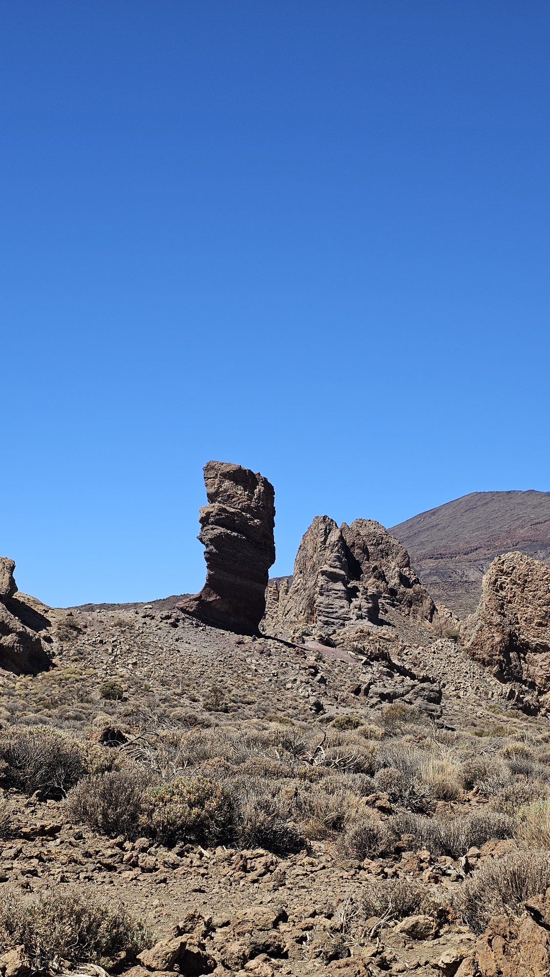 Die Felsnadeln der Roques de García vor dem Teide