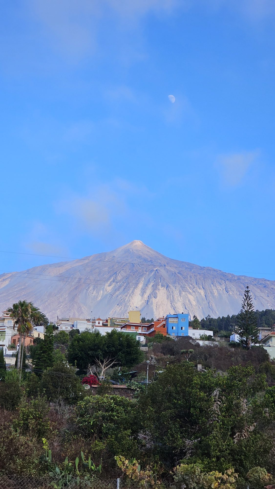 Blick von Icod de los Vinos auf den Teide